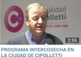 Free download PROGRAMA INTERCOSECHA EN LA CIUDAD DE CIPOLLETTI free photo or picture to be edited with GIMP online image editor