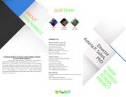 Free download Projects Commisions Pamplet free photo or picture to be edited with GIMP online image editor