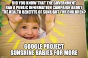 Free download Project Sunshine Babies free photo or picture to be edited with GIMP online image editor