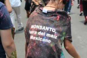 Free download Pronunciamiento De La Marcha Contra Monsanto free photo or picture to be edited with GIMP online image editor