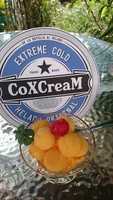 Free download PROYECTO HELADO COXCREAM free photo or picture to be edited with GIMP online image editor