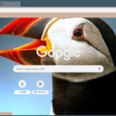 Puffin  screen for extension Chrome web store in OffiDocs Chromium