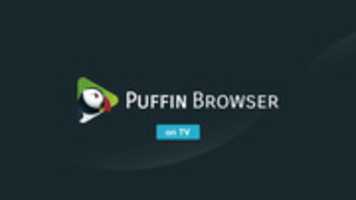 Free download puffin-tv-26 free photo or picture to be edited with GIMP online image editor
