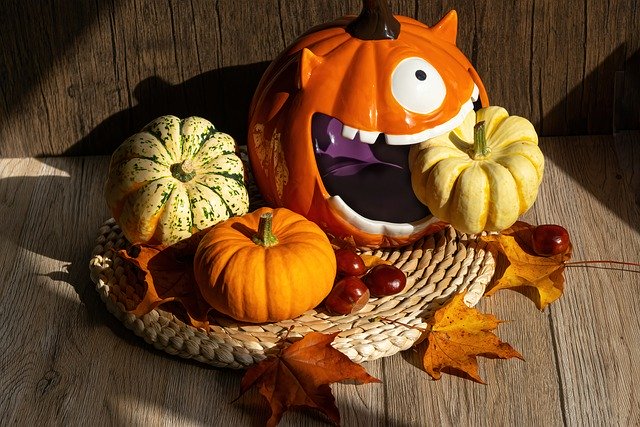 Free download pumpkin halloween autumn seasonal free picture to be edited with GIMP free online image editor