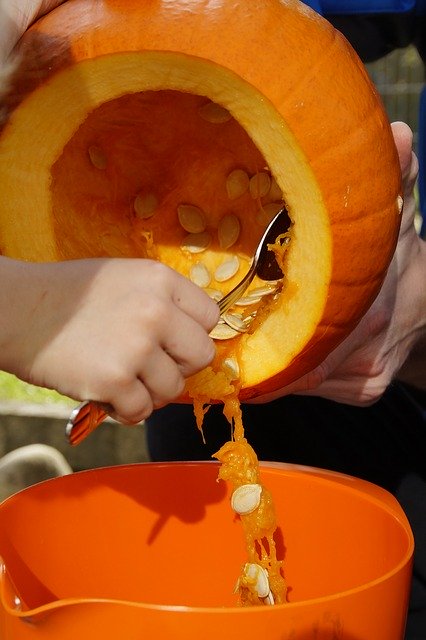 Free download pumpkin halloween fall orange free picture to be edited with GIMP free online image editor
