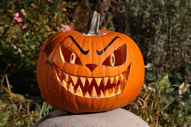 Free download pumpkin halloween fall orange face free picture to be edited with GIMP free online image editor