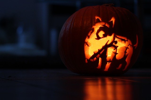 Free graphic pumpkin halloween frankenweenie to be edited by GIMP free image editor by OffiDocs