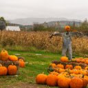pumpkins and cornfields  screen for extension Chrome web store in OffiDocs Chromium
