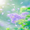 purple flower cluster wallpaper  screen for extension Chrome web store in OffiDocs Chromium