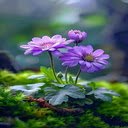 Purple flower cluster wallpaper  screen for extension Chrome web store in OffiDocs Chromium