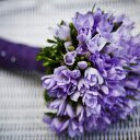 Purple flowers are faithful  screen for extension Chrome web store in OffiDocs Chromium