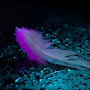 Purple fur  screen for extension Chrome web store in OffiDocs Chromium