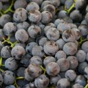 purple grapes  screen for extension Chrome web store in OffiDocs Chromium