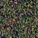 Purple green leaves  screen for extension Chrome web store in OffiDocs Chromium