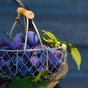 Purple Plums, Woven Baskets Velvet Bounty  screen for extension Chrome web store in OffiDocs Chromium