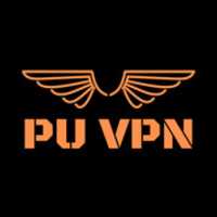 Free download PU VPN logo free photo or picture to be edited with GIMP online image editor