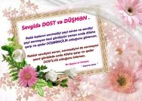 Free download Qeyyim Dost Ve Dusmen free photo or picture to be edited with GIMP online image editor