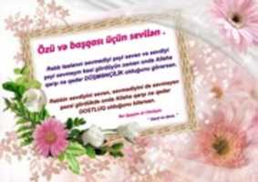 Free download Qeyyim Sevgi free photo or picture to be edited with GIMP online image editor