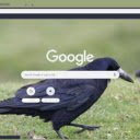 Qua  screen for extension Chrome web store in OffiDocs Chromium