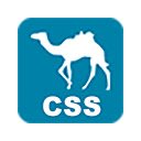 Quick Css  screen for extension Chrome web store in OffiDocs Chromium