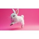 Rabbit So Cute Wallpaper 4K  screen for extension Chrome web store in OffiDocs Chromium