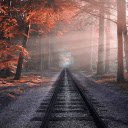 Railway through the forest  screen for extension Chrome web store in OffiDocs Chromium