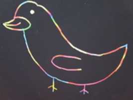Free download Rainbow Bird free photo or picture to be edited with GIMP online image editor