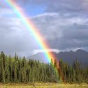 Rainbow of love  screen for extension Chrome web store in OffiDocs Chromium