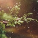 Rain falls on tree branches  screen for extension Chrome web store in OffiDocs Chromium
