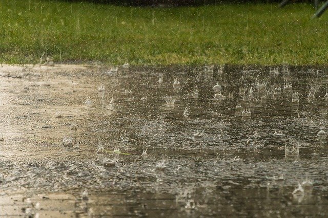 免费下载雨天气雨滴重免费照片模板，可使用 GIMP 在线图像编辑器进行编辑