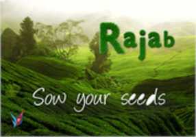 Free download Rajab Sow Your Seeds free photo or picture to be edited with GIMP online image editor
