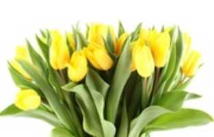 Free download Rajesh Nagpal India free photo or picture to be edited with GIMP online image editor