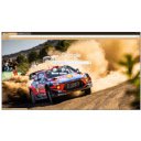 Rally Hiundai  screen for extension Chrome web store in OffiDocs Chromium