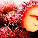 Rambutan with red skin and white flesh  screen for extension Chrome web store in OffiDocs Chromium