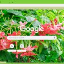 Rangoon Creeper  screen for extension Chrome web store in OffiDocs Chromium