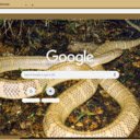 Ran Mo  screen for extension Chrome web store in OffiDocs Chromium