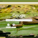 Ran nuoc  screen for extension Chrome web store in OffiDocs Chromium