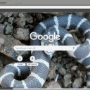 Ran vua  screen for extension Chrome web store in OffiDocs Chromium