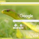Ran Xanh  screen for extension Chrome web store in OffiDocs Chromium