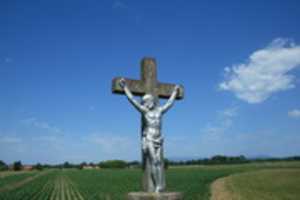 Free download Raspelo, Bukevje, 13.6.2017. free photo or picture to be edited with GIMP online image editor