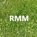RateMyMustang  screen for extension Chrome web store in OffiDocs Chromium