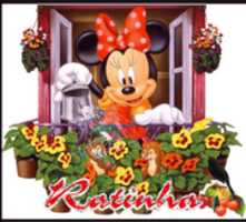 Free download Ratinha 1 free photo or picture to be edited with GIMP online image editor