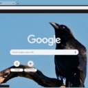 Raven  screen for extension Chrome web store in OffiDocs Chromium