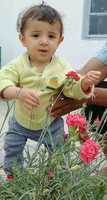 Free download rayyen free photo or picture to be edited with GIMP online image editor