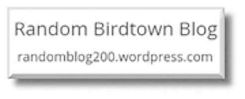 Free download rbbw buttons free photo or picture to be edited with GIMP online image editor