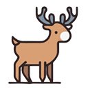 realistic deer  screen for extension Chrome web store in OffiDocs Chromium