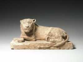 Free download Reclining lion free photo or picture to be edited with GIMP online image editor