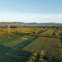 Rectangular fields  screen for extension Chrome web store in OffiDocs Chromium