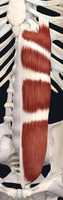 Free download Rectus Abdominus Small free photo or picture to be edited with GIMP online image editor