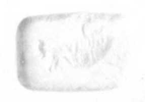 Free download Recumbent bull seal free photo or picture to be edited with GIMP online image editor